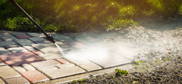 Best Spring Cleaning  in Williamsport, PA